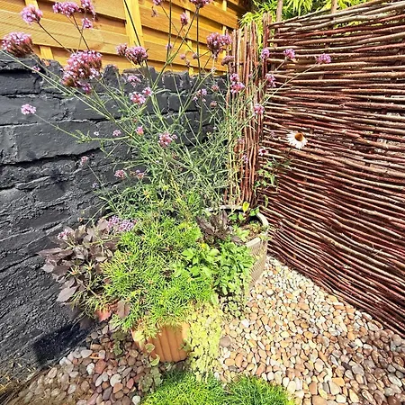 Ultra Modern House * Bristol