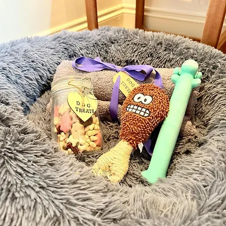 Ultra Modern House *