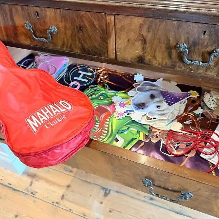 Ultra Modern House Будинок відпочинку *